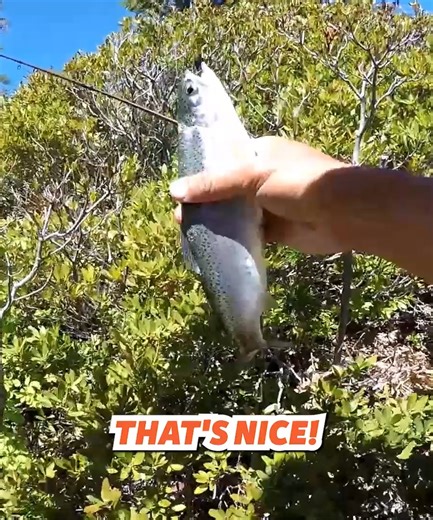 63K views · 1K reactions | Catch and Cook: My SOLO Adventure! 朗 #catchandcook #cooking #recipe | Fisherman's Life | Facebook