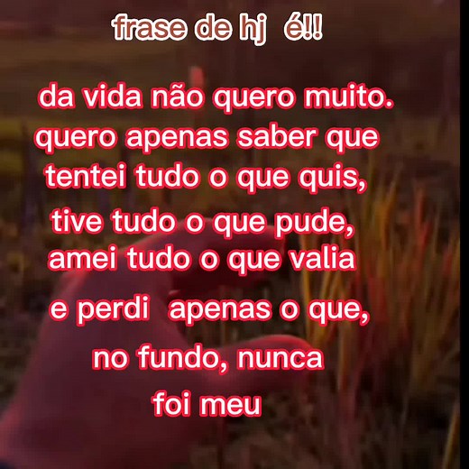 frase do dia