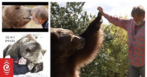 One man's relationship with Bart the grizzly bear