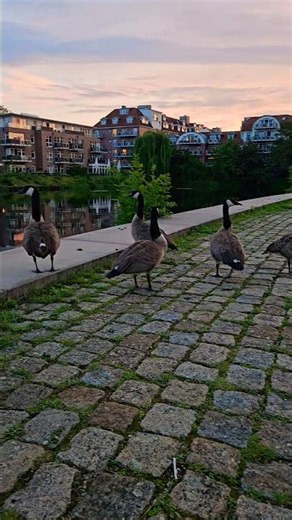 Berlin ❤️ #travel #germanytourism #berlintravelguide #europeancapital