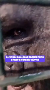 69K views · 1K reactions | MUAH MUAH MUAAAH!!!! Apalagi kalo sambil dijajanin starlight member di Codashop! Uuuuwwwwhh!!! | Codashop | Facebook