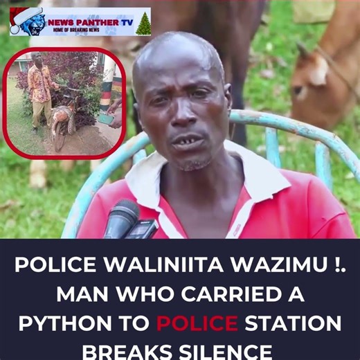 police waliniita wazimu !. Man who carried a python to police station breaks silence