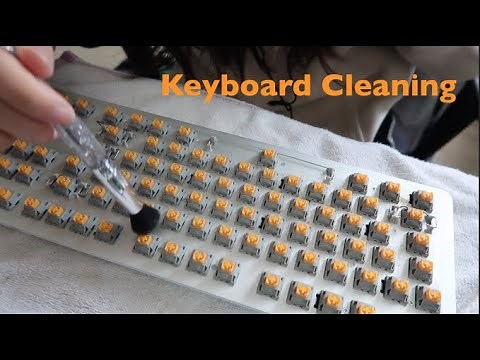ASMR Keyboard Cleaning (minimal talking)