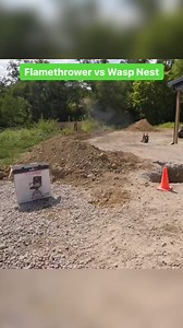 Spoiler alert: the flamethrower won 🔥 #flamethrower #wasps #googansquad | Googan Squad