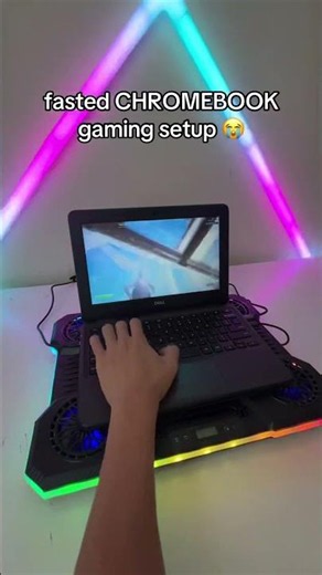 Fastest Chromebook Gaming Setup!