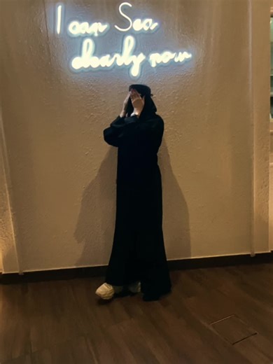 CapCut Video Editing Program Overview