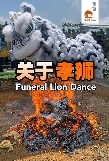 8.1K views · 54 reactions | 你听说过孝狮吗？在丧礼上也能舞狮？ Have you heard of Funeral Lion Dance? #孝狮 #素狮 #舞狮 #丧礼舞狮 #funeralliondance #万富 #perpetual #传统文化 #perpetualmemorialpark #万富山庄 | 萬富 Perpetual | Facebook