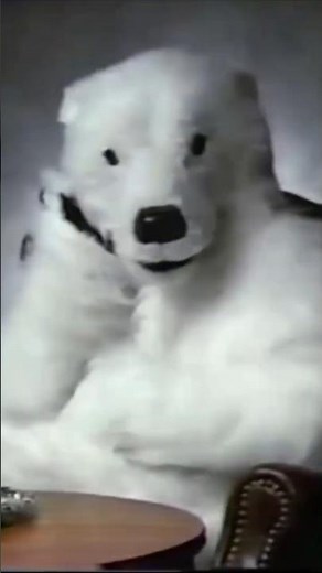 80's commercials were different #80snostalgia #80s #vincentprice