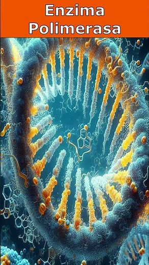 🧬 Polymerase Enzyme 🧬
