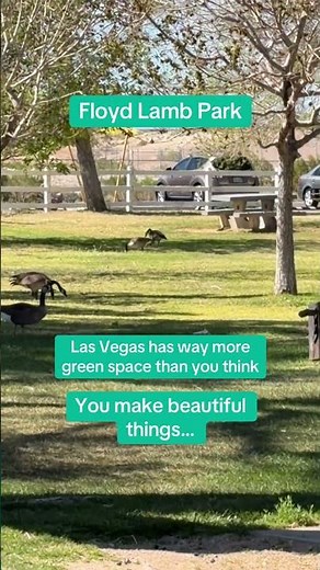 Floyd Lamb Park at Tule Springs is one of Las Vegas’s hidden gems, offering wide open green spaces,