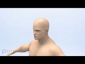 Hair Collection Training Animation - Psychemedics Hair Drug Testing