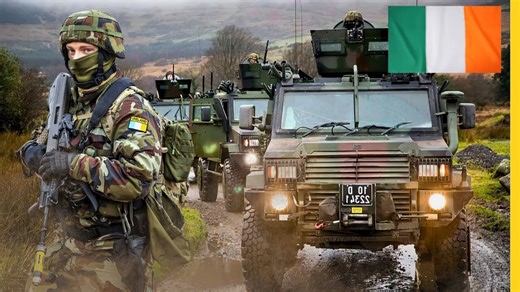 Review of All Irish Defence Forces Equipment / Quantity of All Equipment