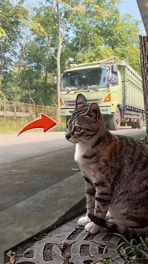 Detik Detik Mobil Truck Hino 500 Bikin Kaget‼️#truk #truck #trukoleng #funny #amazing