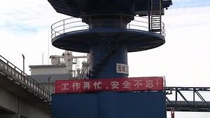 So, where do all those soybeans go now? From feeding livestock here at home to powering vehicles and helping produce food products across the world, South Dakota soybeans have big jobs ahead. 🚜➡️🌎 | SD Soybean