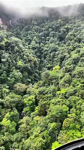 Explore the Mysterious Amazon Rainforest