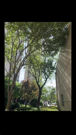 于是我驻足 享受无法复刻的瞬间#