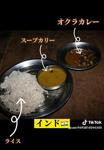 世界の給食、どれがいい？？part4 #給食 #料理