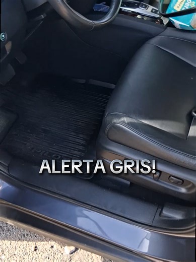 ALERTA GRIS! #SiempreSePierde | silver alert alarm