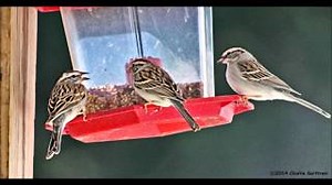 TIME Lyrics - POZO SECO SINGERS | eLyrics.net