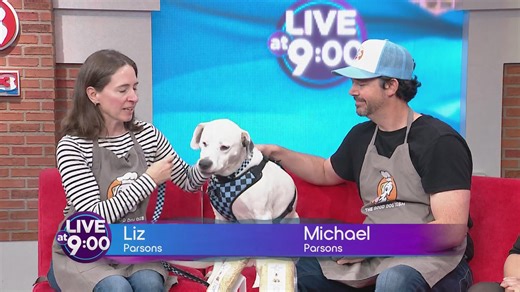 The good dog dish, giving back to pets