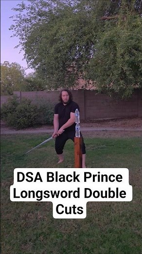 Double cuts the Black Prince Longsword from Darksword Armory pt4 #medievalweapons #sword #dsa