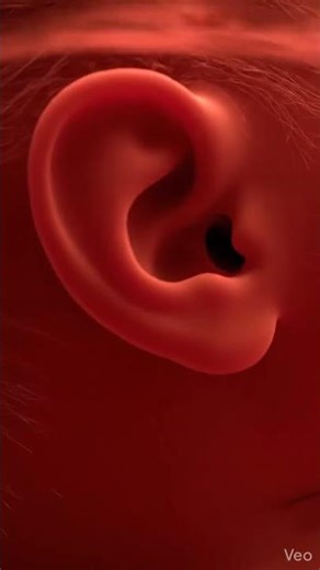 “Baby Feels Mother’s Touch 😍 | The First Connection Before Birth”