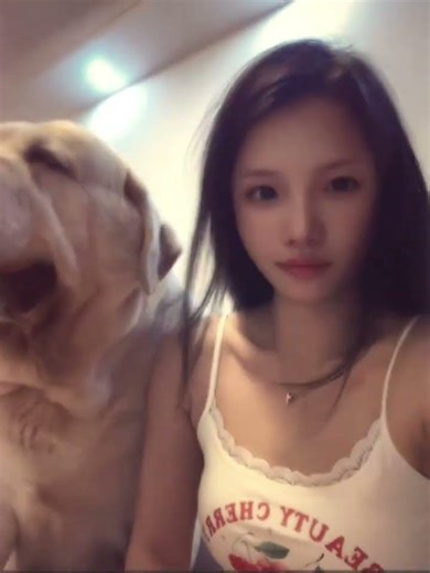 Intense Showdown: My 1,500-Pound Canadian Bodyguard Labrador's Unforgettable Adventures