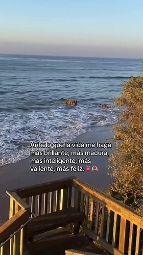 🫀Sigueme para mas contenido @_jupiter_x_ #frases #fypシ #viral #parati #_jupiter_x_ #tiktok #sanar #