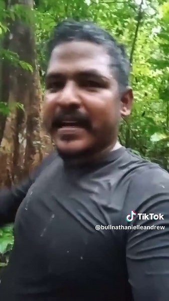 Exploring the Beautiful Jungle in South America