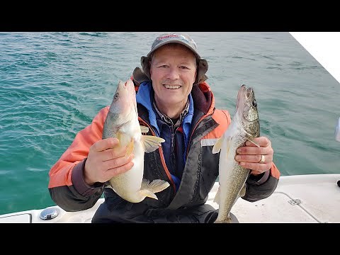 Early Season Walleye with Jigging Tips and Techniques