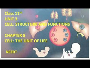 Class 11 Biology Unit 3 Cell structure & function | Chapter 8 cell unit of life| Prokaryotic cells