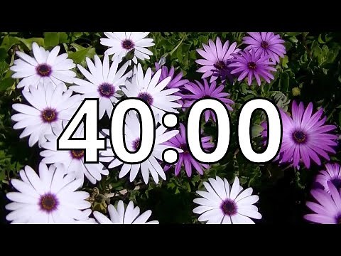 40 Minutes Timer with Music | Spring Timer