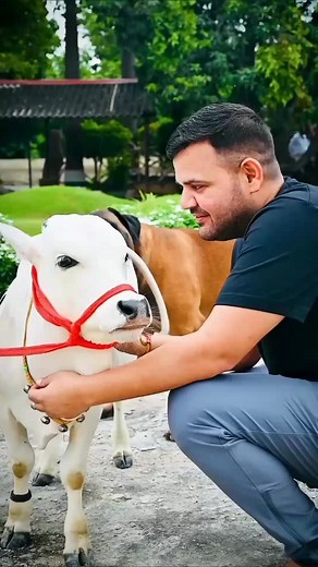 Neta ji ❤️🙏 #BrijBhushanSharanSingh #trending #viralpost #explorepage✨ #narendramodi Brij Bhushan Sharan Singh Karan Bhushan Singh | Jilani Khan