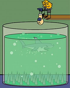 Shark Pool - TV Tropes