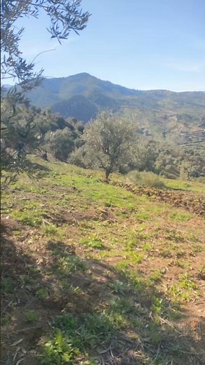 “In Kabylia, farming is not a job… it’s a passion.”