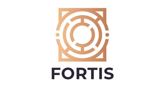 Fortis, nova empresa de games, adquiriu brasileira Oktagon Games - Drops de Jogos