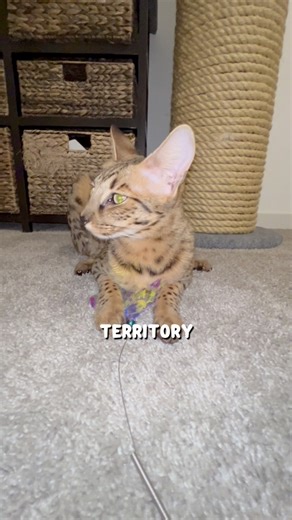 She makes her feelings clear | November