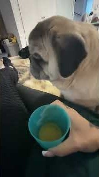 Wabi hat Durst🤣