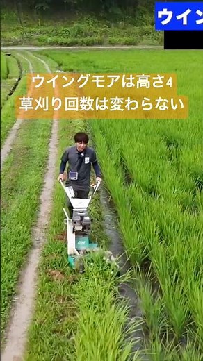ウイングモアで草刈り散歩 #草刈り #ウイングモア #高刈り #オーレック