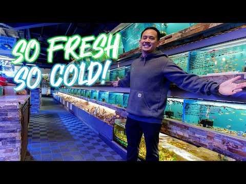 Fish tank ideas for colder aquariums - Medaka, Rainbow Shiners, White Cloud Minnows, or shrimp?