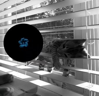 不要再自以为了#低频 #低频直播