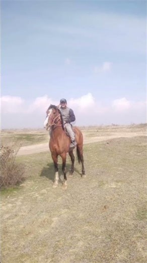 28 февраля 2026 г.