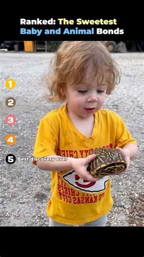Ranked- The Sweetest Baby and Animal Bonds