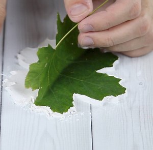 Avec de la pâte à modeler et une feuille d’érable, vous créez une décoration pratique. Retrouvez les étapes ici : https://youtu.be/f5eAOYebDkw | L'astucerie
