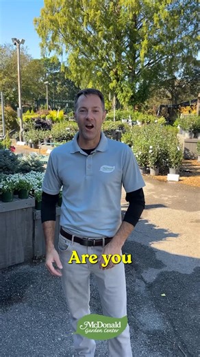 1.2K views · 64 reactions | Looking for shrubs that stand up against...