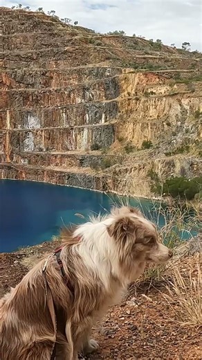 A Glimpse. Is this the Best Free Camp - Outback QLD - birdlife, history, and total serenity