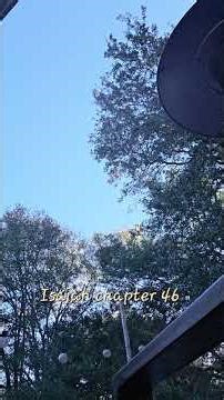 Isaiah chapter 46 King James Version