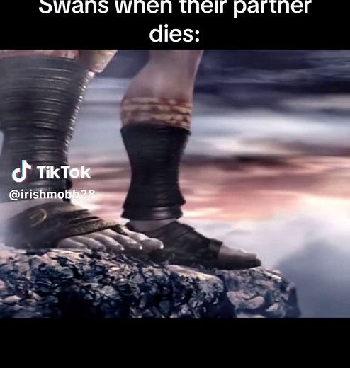 Gotta find someone I feel this strongly about. #swandive