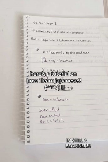 Beginner's Guide to Learning Japanese Effectively