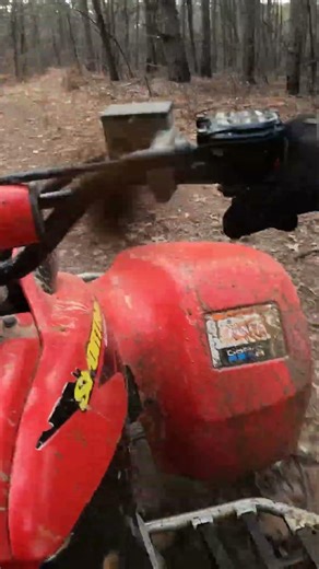 Pacing a Trail on the 400ex!